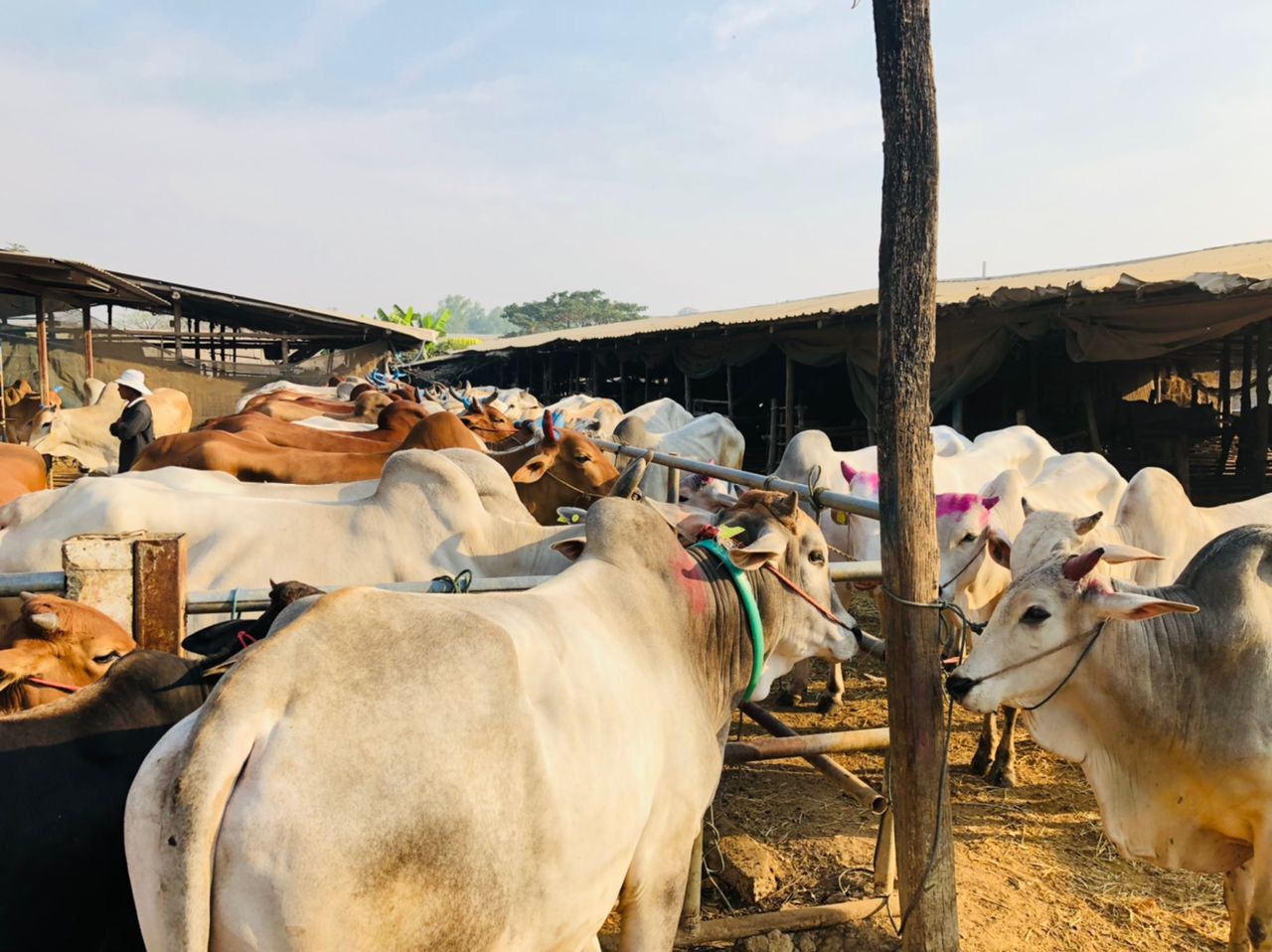 455127e9-1e00-4e6b-9082-fbe821830fb7